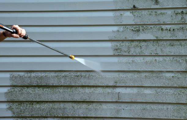 Best Deck Cleaning Services  in Rochester, MN