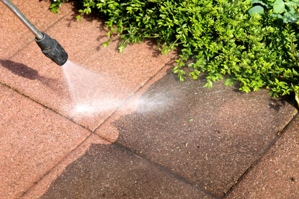 Best Pressure Washing Near Me  in Rochester, MN